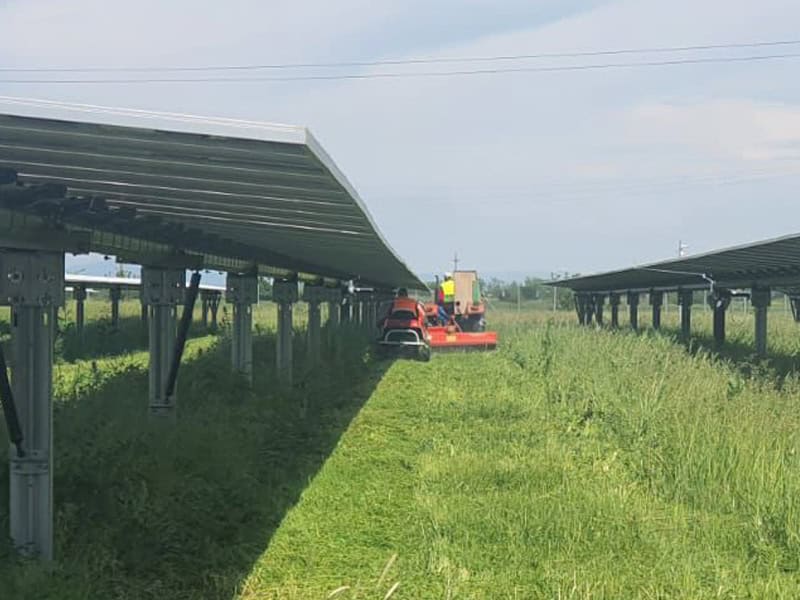Taiere vegetatie in parcuri de panouri fotovoltaice