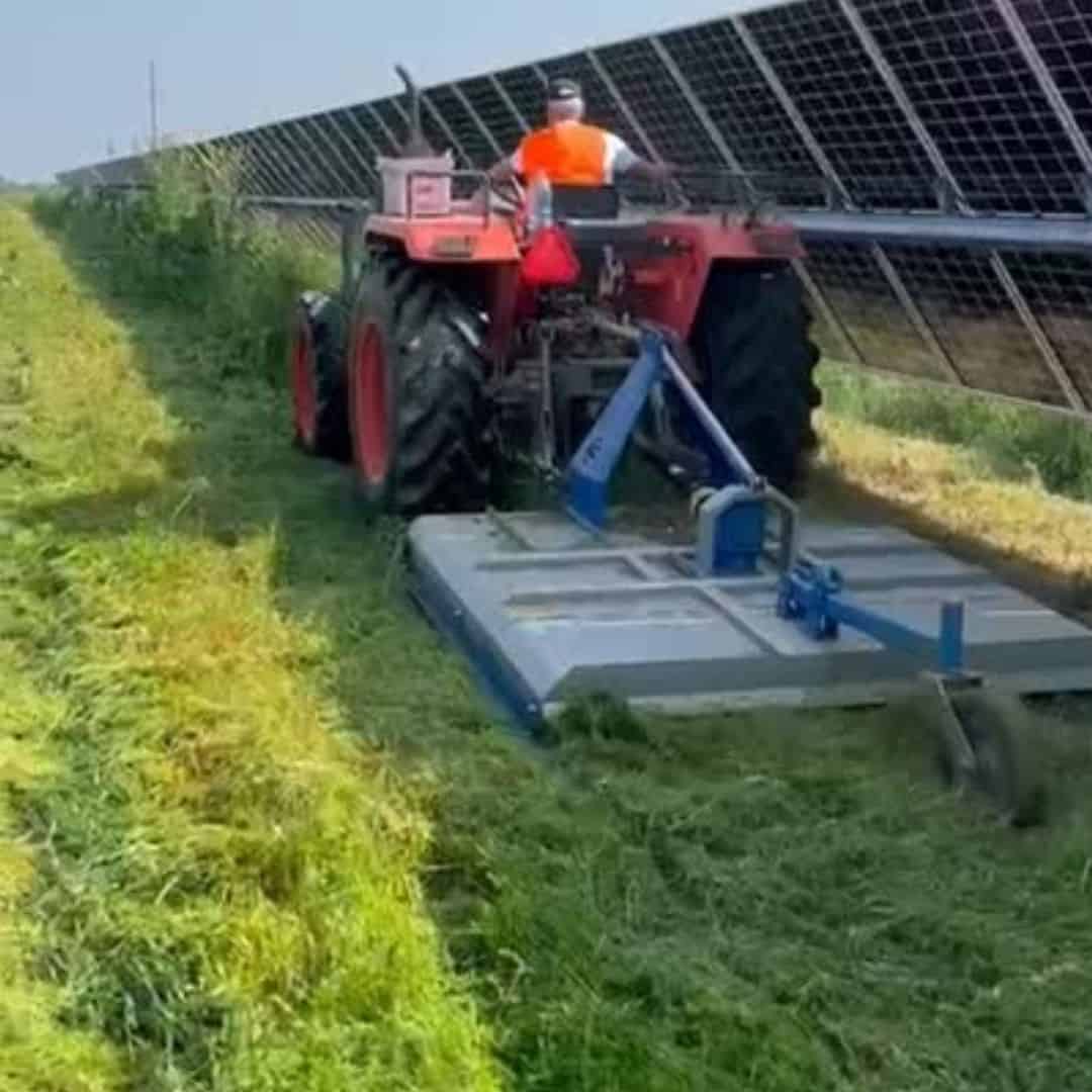 Tăiere vegetatie in parcuri fotovoltaice